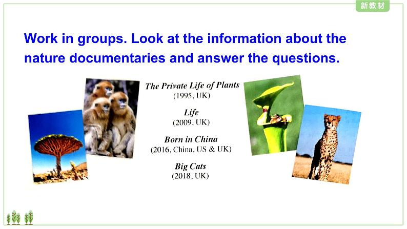 外研版(2019)高中英语选择性必修一 Unit 5 Revealing nature Presenting ideas 课件06