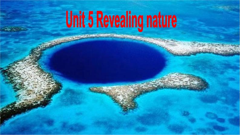 外研版(2019)高中英语选择性必修一 Unit 5 Revealing nature Writing 课件02