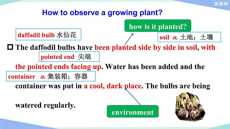 外研版(2019)高中英语选择性必修一 Unit 5 Revealing nature Writing 课件07