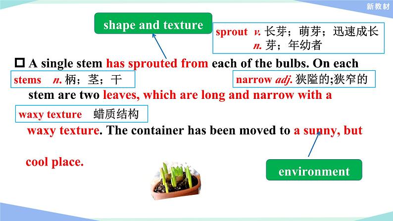 外研版(2019)高中英语选择性必修一 Unit 5 Revealing nature Writing 课件08