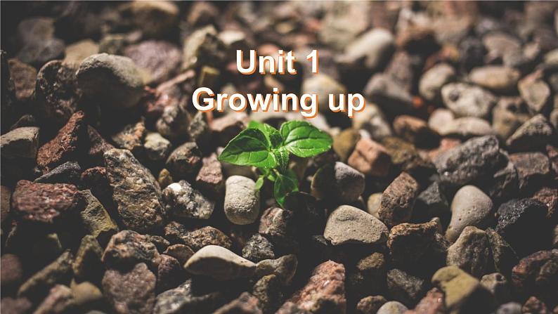 外研版(2019)高中英语选择性必修二 Unit 1 Growing up Grammar 课件第2页