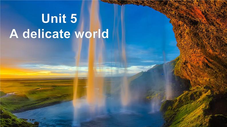 外研版(2019)高中英语选择性必修二 Unit 5 A delicate world Integrated skills 课件02