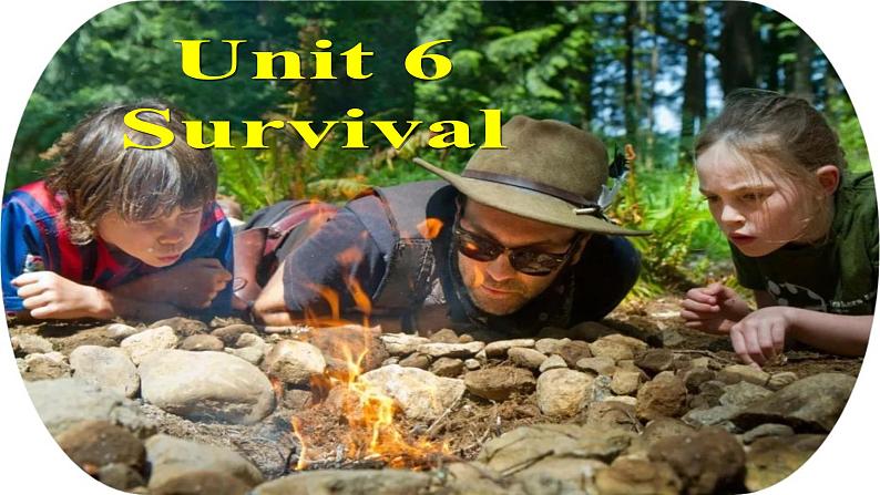 外研版(2019)高中英语选择性必修二 Unit 6 Survival Grammar 课件02