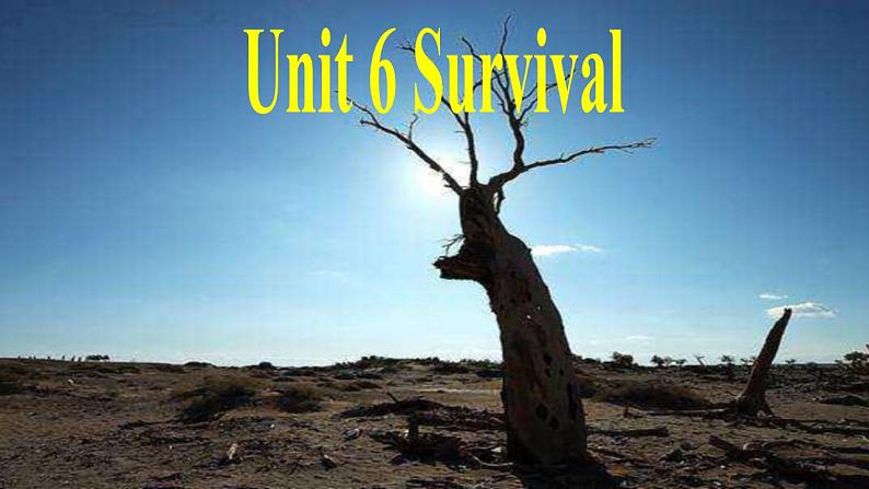外研版(2019)高中英语选择性必修二 Unit 6 Survival Starting out 课件02