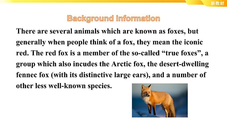 外研版(2019)高中英语选择性必修二 Unit 6 Survival Understanding ideas 课件08