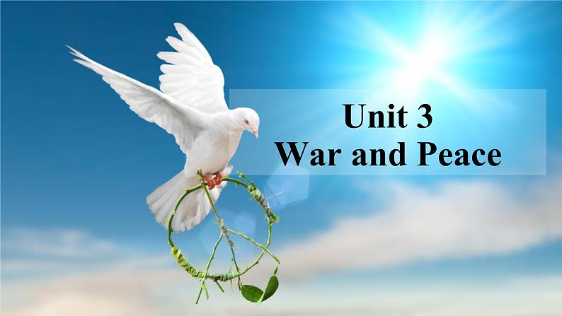 外研版(2019)高中英语选择性必修三 Unit 3 War and peace Starting out 课件02