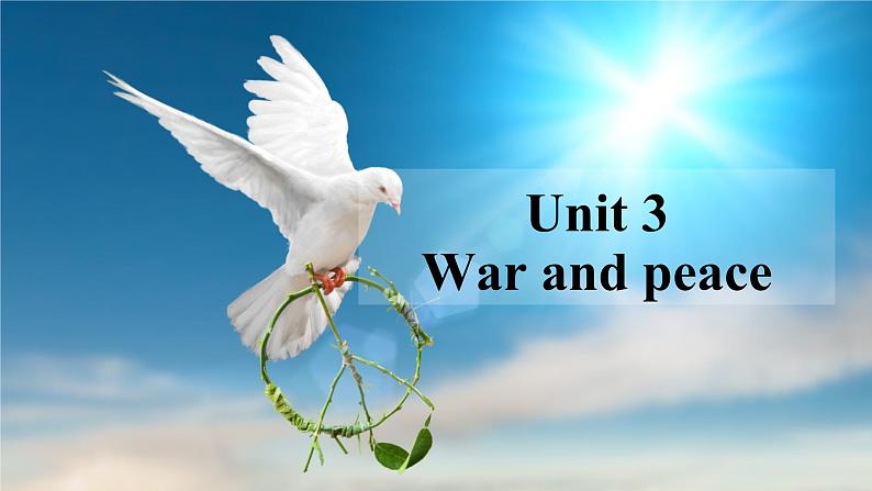 外研版(2019)高中英语选择性必修三 Unit 3 War and peace Writing 课件02