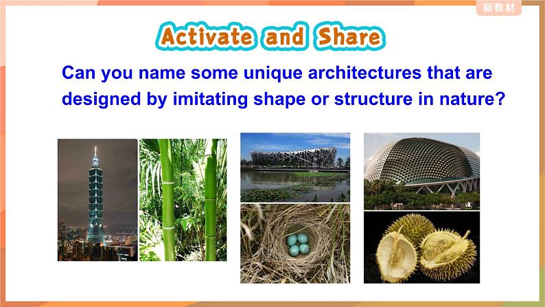 外研版(2019)高中英语选择性必修三 Unit 5 Learning from nature Understanding ideas 课件第5页