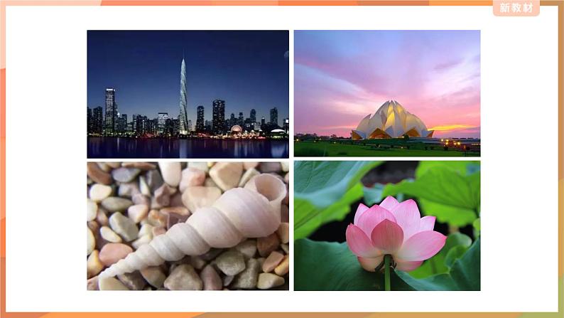 外研版(2019)高中英语选择性必修三 Unit 5 Learning from nature Understanding ideas 课件第7页