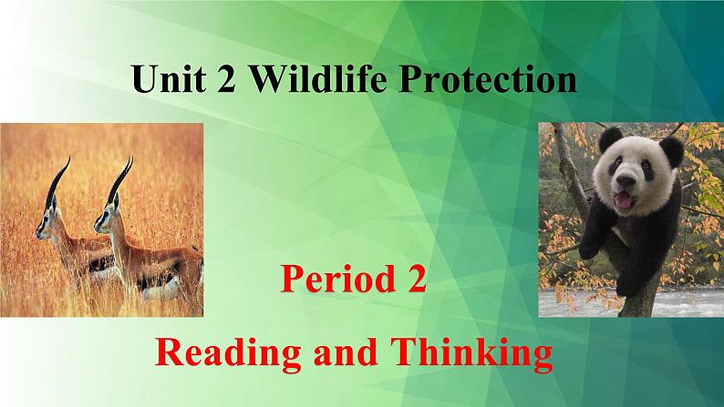 人教版高中英语必修二Unit2Wildlife Protection-Reading and Thinking课件第1页