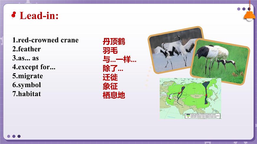 【外研版】英語必修一  Unit 5 Into the wild Developing ideas — writing課件第3頁