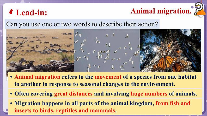 【外研版】英语必修一 Unit 5 Into the wild Understanding ideas课件第5页