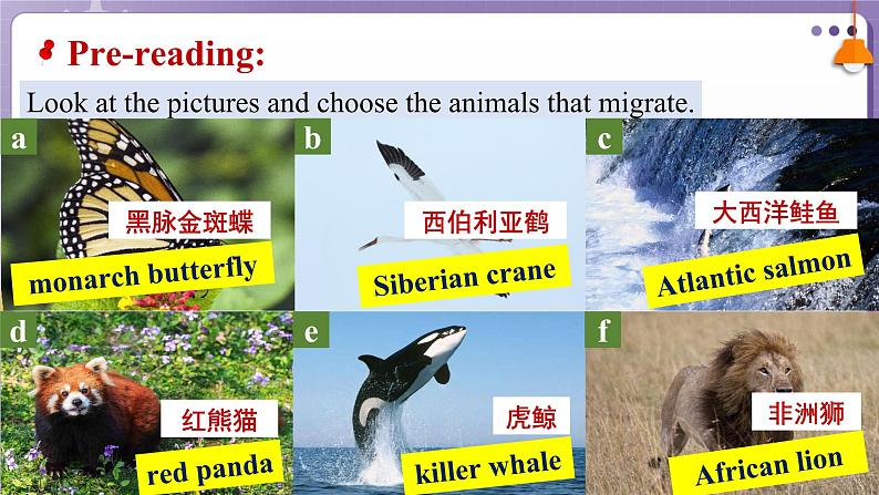 【外研版】英语必修一 Unit 5 Into the wild Understanding ideas课件第6页