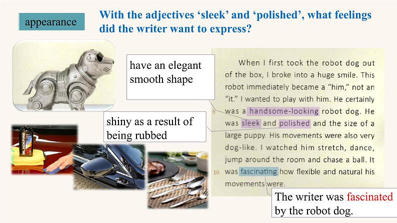 新上教版英语必修第三册 03 Unit 4 Life and Technology Reading A Life with a robot dog 课件第6页