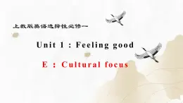 新上教版高中英语选择性必修第一册 Unit1 Part E ：Cultural focus 课件+分层练习）