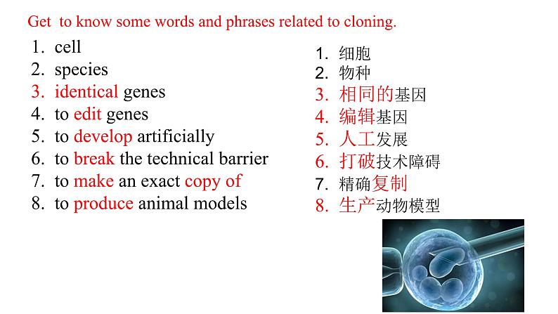 2024-2025学年北师大版(2019)选择性必修第三册 Unit 9 Human Biology Lesson 1 To Clone or Not to Clone课件第4页