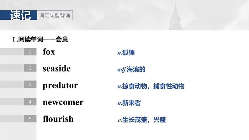 2025届高中英语一轮复习:选择性必修第二册 Unit 6 Survival第4页