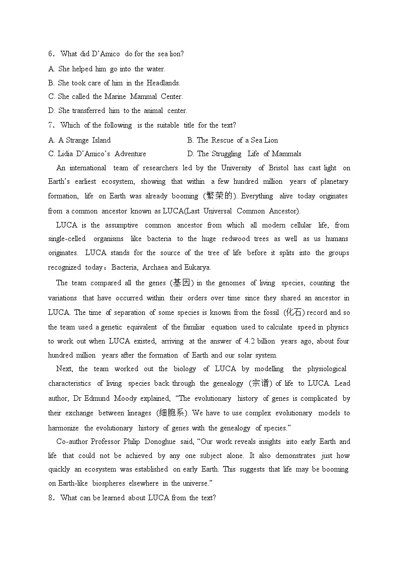 河南省TOP二十名校2025届高三上学期调研考试英语试卷(含答案)03