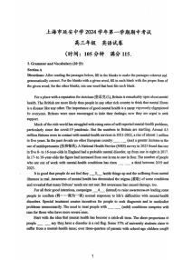 上海市延安中学2024~2025学年高三(上)期中英语考试卷(含答案)