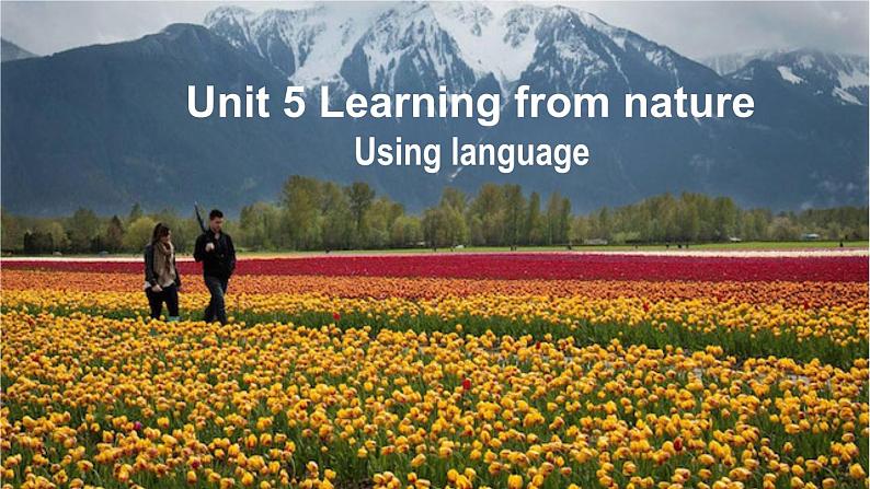 外研选择性必修第三册Unit5 Using language 公开课课件第1页