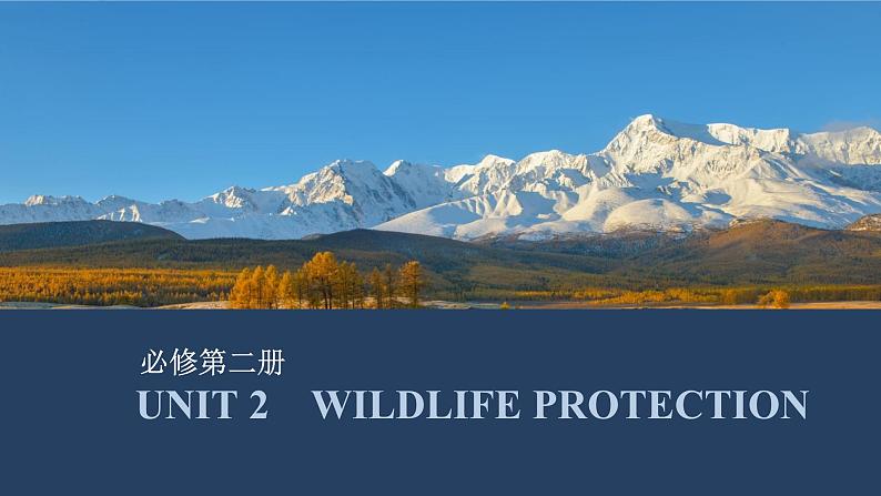 高中英语2025届一轮复习课件(人教版)必修第二册:UNIT 2 WILDLIFE PROTECTION第1页