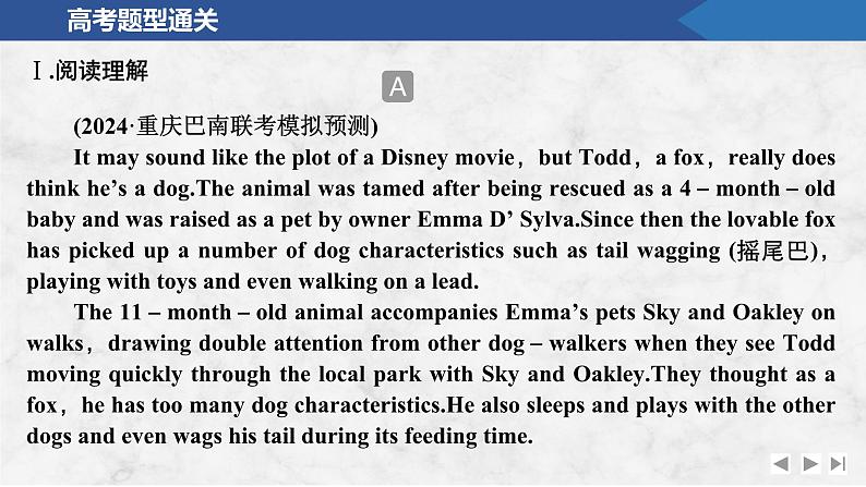 2025届人教版(2019)高中英语一轮话题复习高考题型练课件:话题29 人与动植物第2页