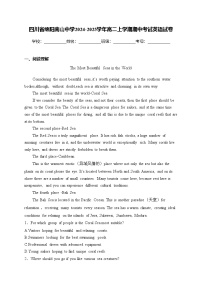 四川省绵阳南山中学2024-2025学年高二上学期期中考试英语试卷(含答案)