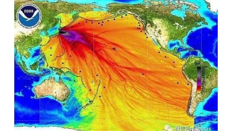 Unit 6 Earth first Starting out 课件高一英语外研版(2019)必修第二册第5页