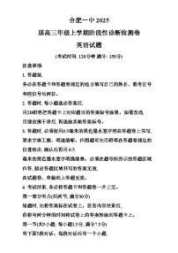 2025合肥一中高三上学期12月阶段性诊断检测英语试题含解析