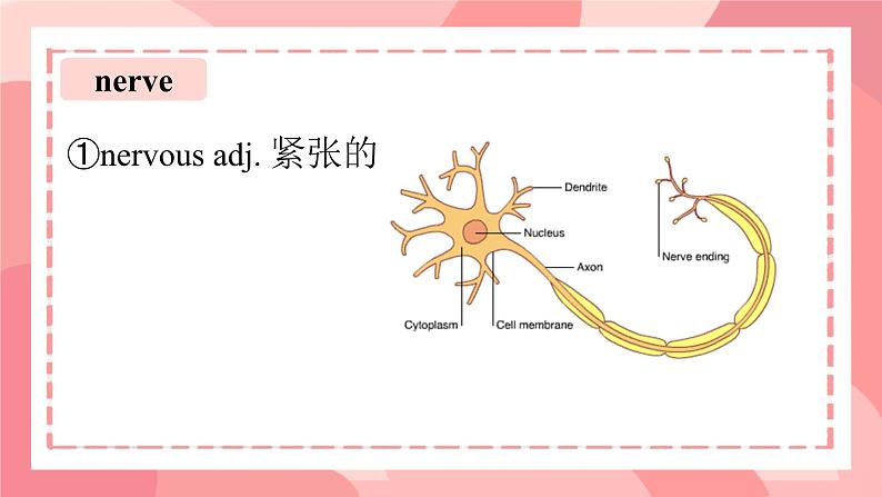 Unit 3 Faster, higher, stronger Words and expressions 课件高中英语外研版(2019)选择性必修第一册第5页