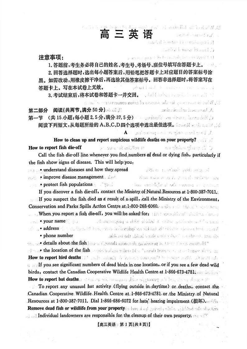 广东省深圳市宝安区2024-2025学年高三上学期期末考试英语试卷第1页