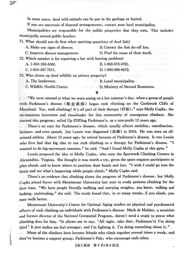 2025深圳宝安区高三上学期期末考试英语PDF版含解析第2页
