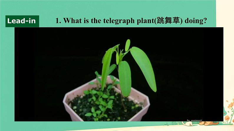 Unit 5 Revealing nature Developing ideas 课件高中英语外研版(2019)选择性必修第一册第2页