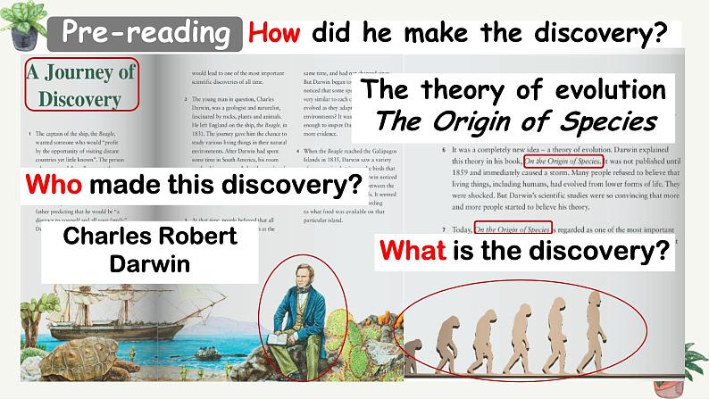 Unit 5 Revealing nature Understanding ideas 课件高中英语外研版(2019)选择性必修第一册第3页