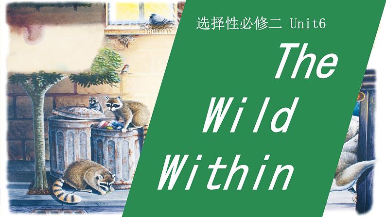 Unit 6 Survival Understanding ideas 课件高中英语外研版(2019)选择性必修第二册1第1页