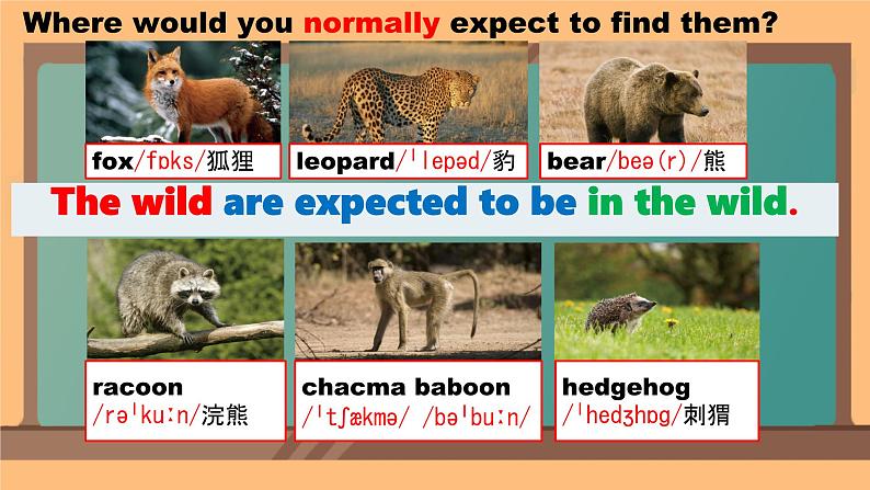 Unit 6 Survival Understanding ideas 课件高中英语外研版(2019)选择性必修第二册1第2页