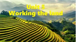 Unit 5 Working the land Using language 2课件高中英语(2019)人教版选择性必修第一册