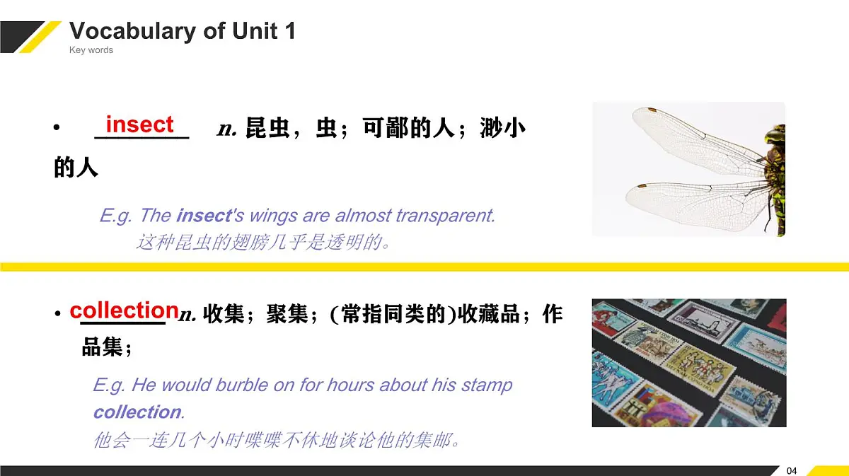 外研版 2019 高中英语必修一 Unit1 A new start 单元复习课件第7页