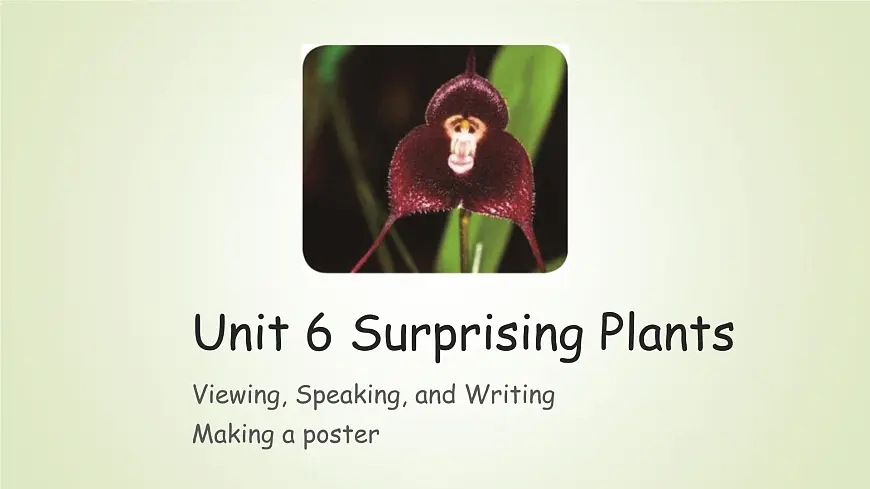 Unit 6 Surprising Plants Viewing,Speaking and Writing(课件) -2024-2025学年(重大版)(2019)英语必修 第一册第1页
