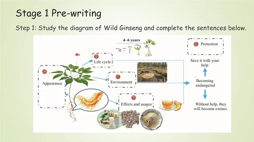 Unit 6 Surprising Plants Viewing,Speaking and Writing(课件) -2024-2025学年(重大版)(2019)英语必修 第一册第3页