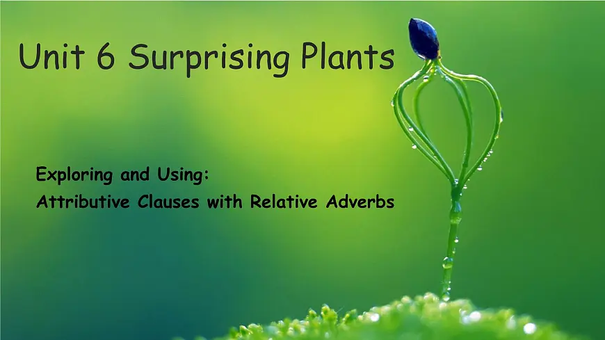 Unit 6 Surprising Plants:Exploring and Using(课件) -2024-2025学年(重大版)(2019)英语必修 第一册第1页