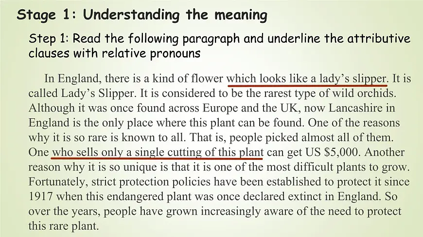 Unit 6 Surprising Plants:Exploring and Using(课件) -2024-2025学年(重大版)(2019)英语必修 第一册第3页