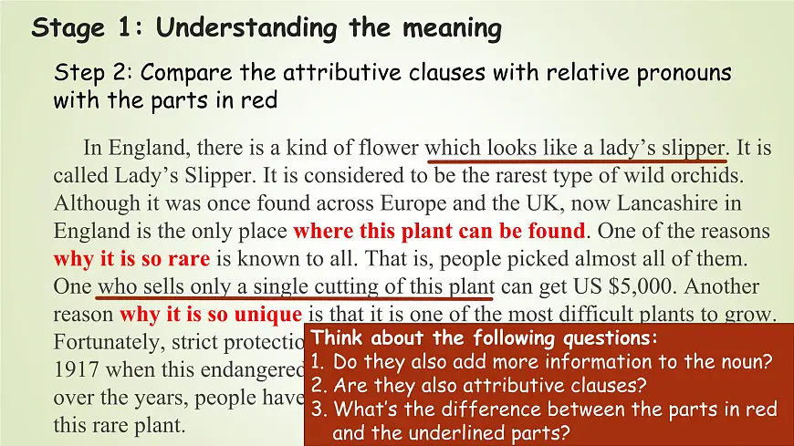 Unit 6 Surprising Plants:Exploring and Using(课件) -2024-2025学年(重大版)(2019)英语必修 第一册第4页