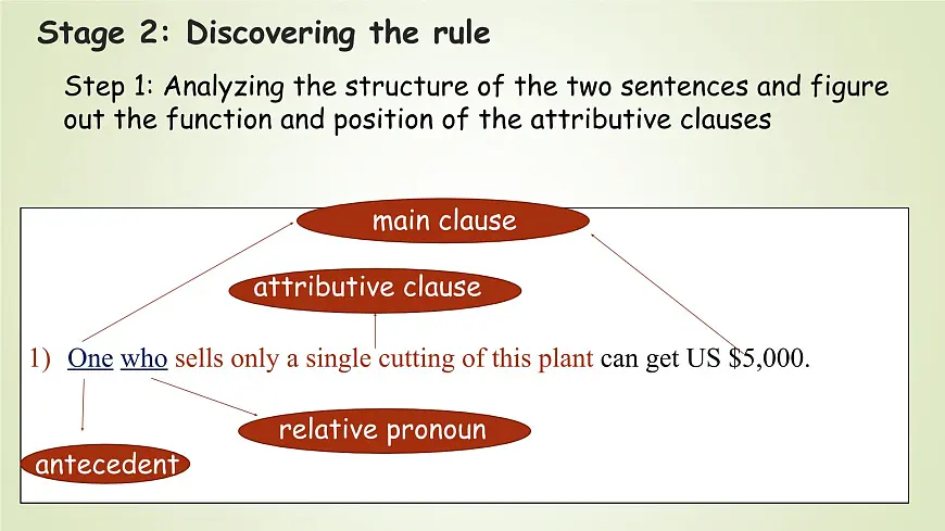 Unit 6 Surprising Plants:Exploring and Using(课件) -2024-2025学年(重大版)(2019)英语必修 第一册第6页
