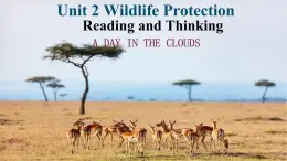 Unit2WildlifeProtectionReadingandThinking課件和教案 高中英語人教版（2019）必修第二冊