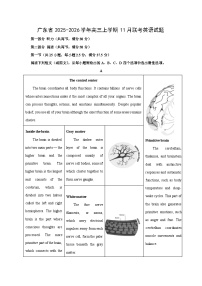 广东省2025-2026学年高三上学期11月联考英语试题（学生版）