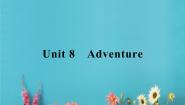 高中英语模块3 Unit 8 Adventure教案配套课件ppt