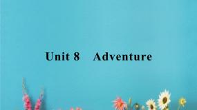 高中英语模块3 Unit 8 Adventure教案配套课件ppt