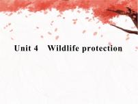 人教版 (新课标)必修1&2必修2Unit 4 Wildlife Protection教课课件ppt