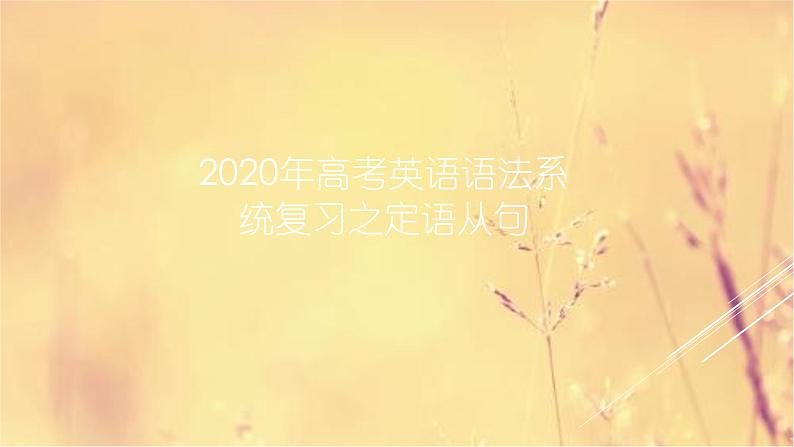 2020高考英语语法复习课件:定语从句01